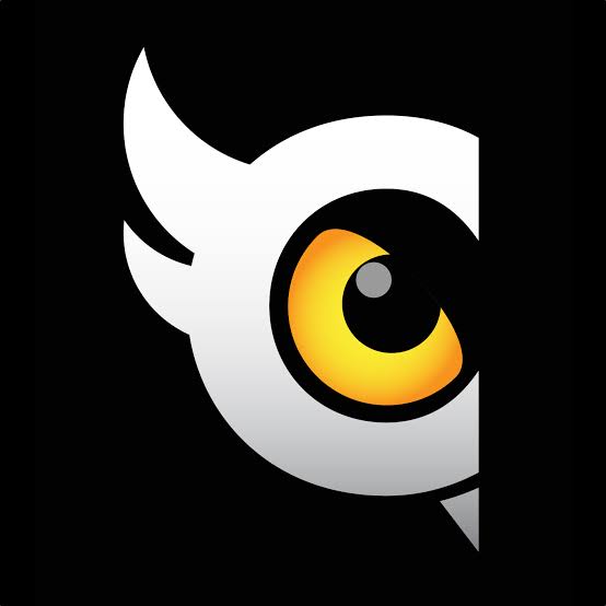 Cloudowl